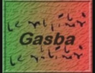 djamile ou sedik nouvelle album 2009