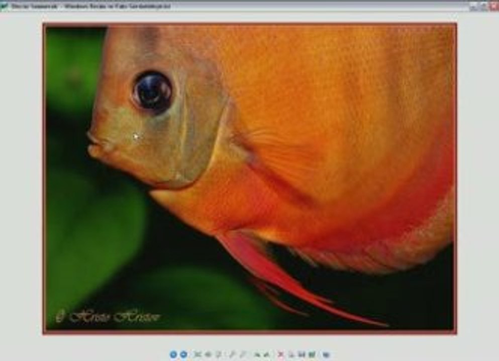 İmages Resizer Kullanımı