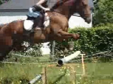 Saut de prince 85 cm