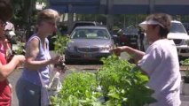 West Hartford Farmers’ Market is Open for Business