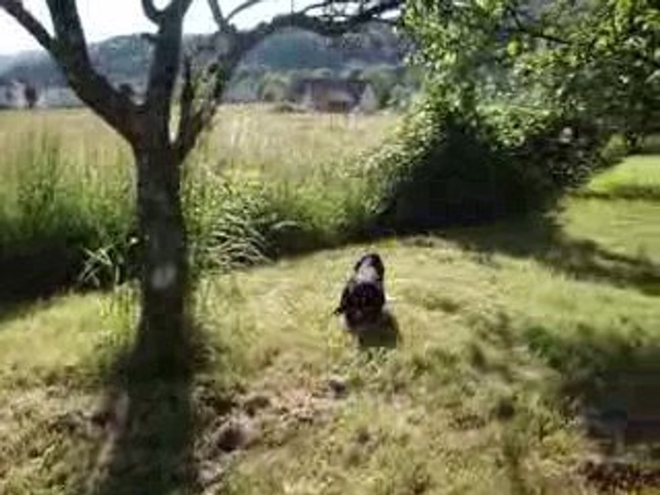 Img01183 008