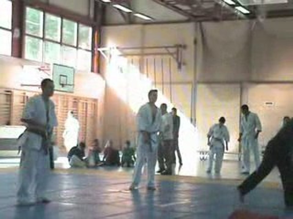 Combat Kyokushinkai en Suisse (2 part 2)