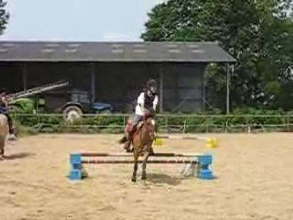 Parcours d'obstacle, Cerise et moi