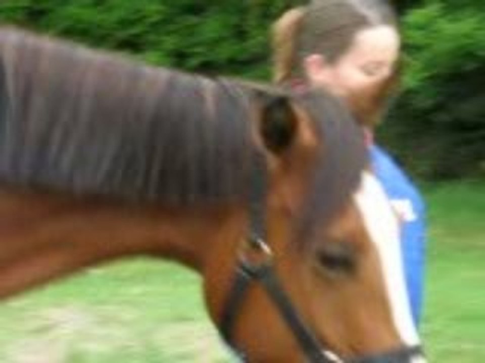 soulaines 2009 endurance Radja......