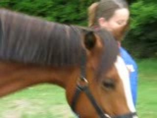 soulaines 2009 endurance Radja......