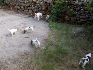 Petite ballade en famille...