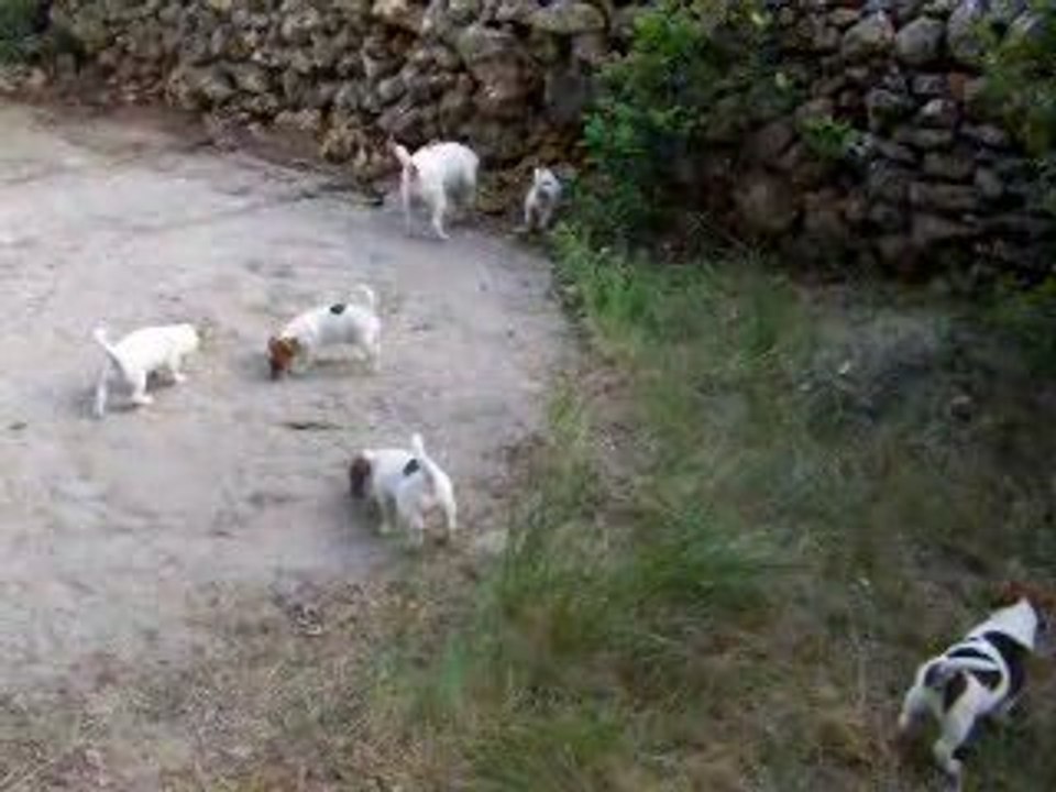 Petite ballade en famille...