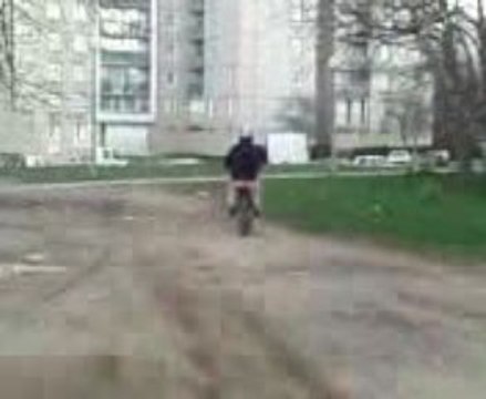 tarterets (les ptit du zoo)