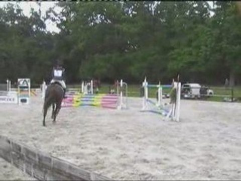 09-05-17 St Pierre sur Dives CCE AM3 so