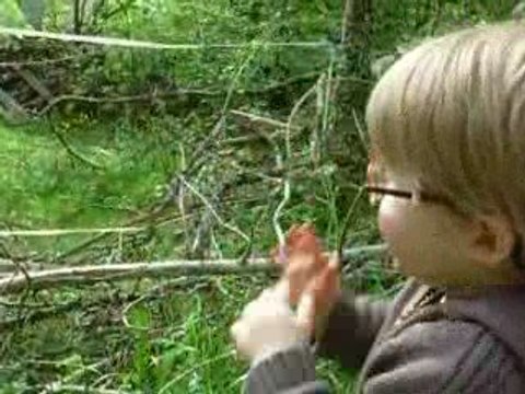 Mai 2009 Jument et ânes