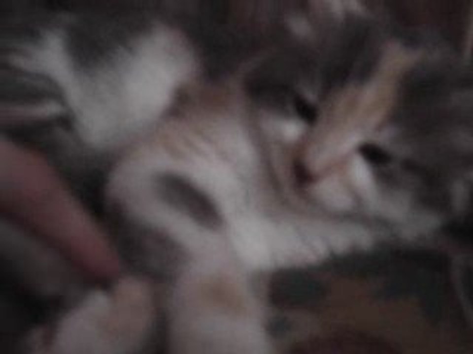 Freya :)