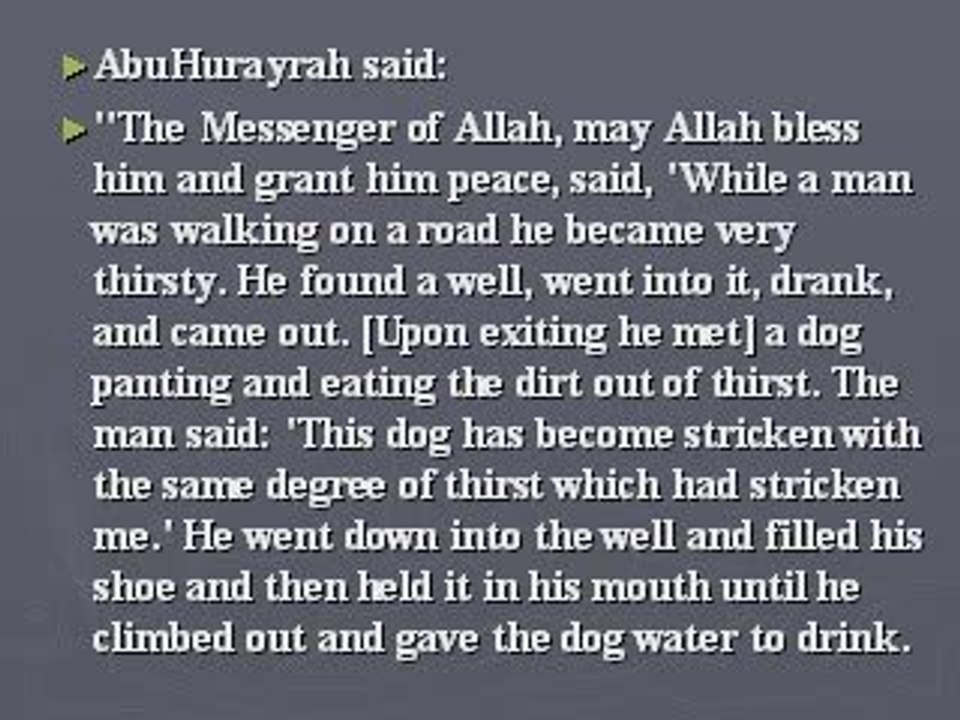 Prophet Mercy Towards Animals2
