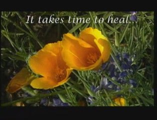 While the Wind Blows Diana Reginato Book Trailer