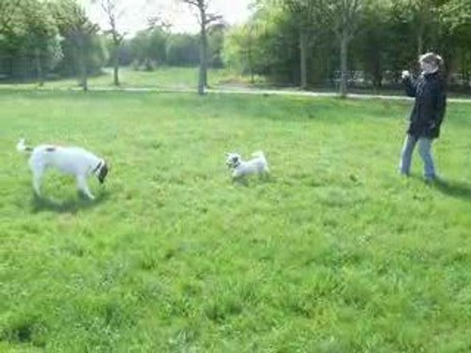 Mascara et Vanda au bois de Vincennes