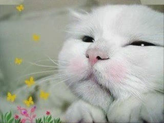 Showing Your Page some love with our little friends