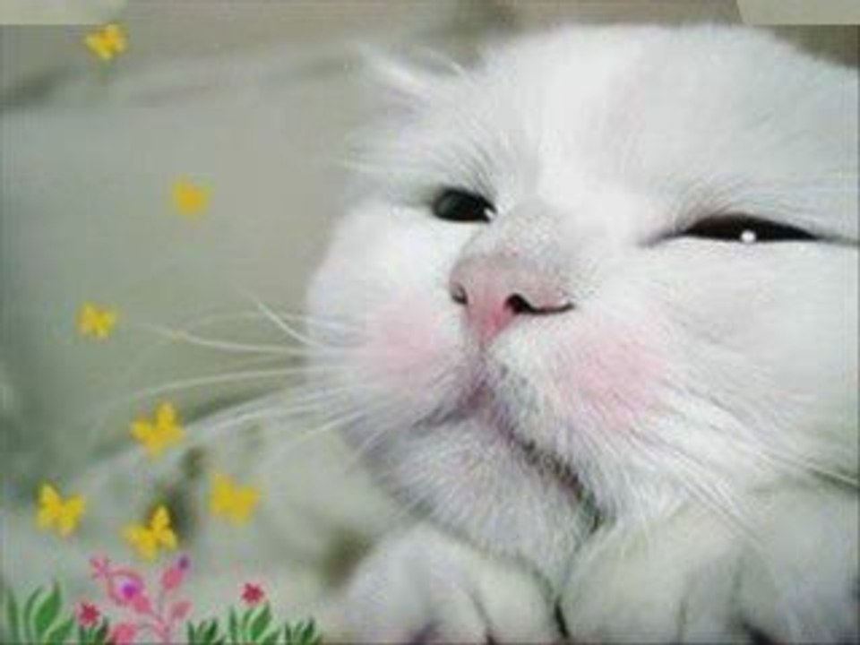Showing Your Page some love with our little friends