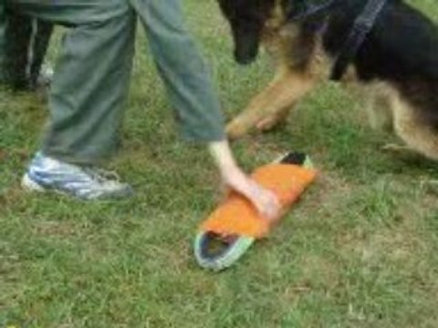 dolce gabanna de savage garden