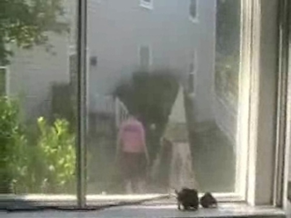 The Madman next door