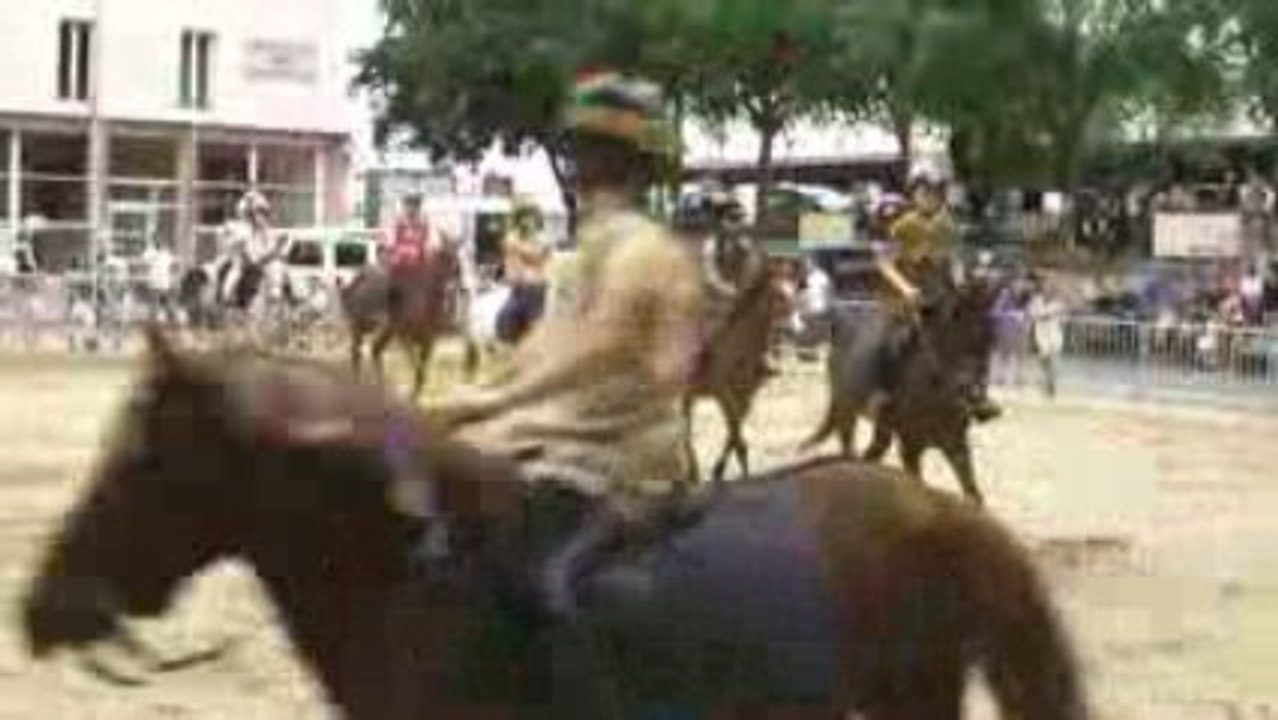 CHEVAL