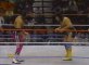 Owen & Bret Hart vs. Scott & Rick Steiner, WWE, 1994, Part 1