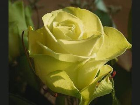 Gelde Gör Ya resulallah