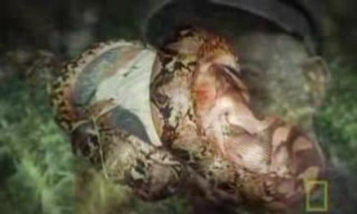 Super Snakes - Anacondas & Pythons 5 5