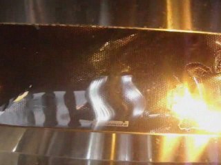 MICROWAVING A BAG OF DOG FOOD