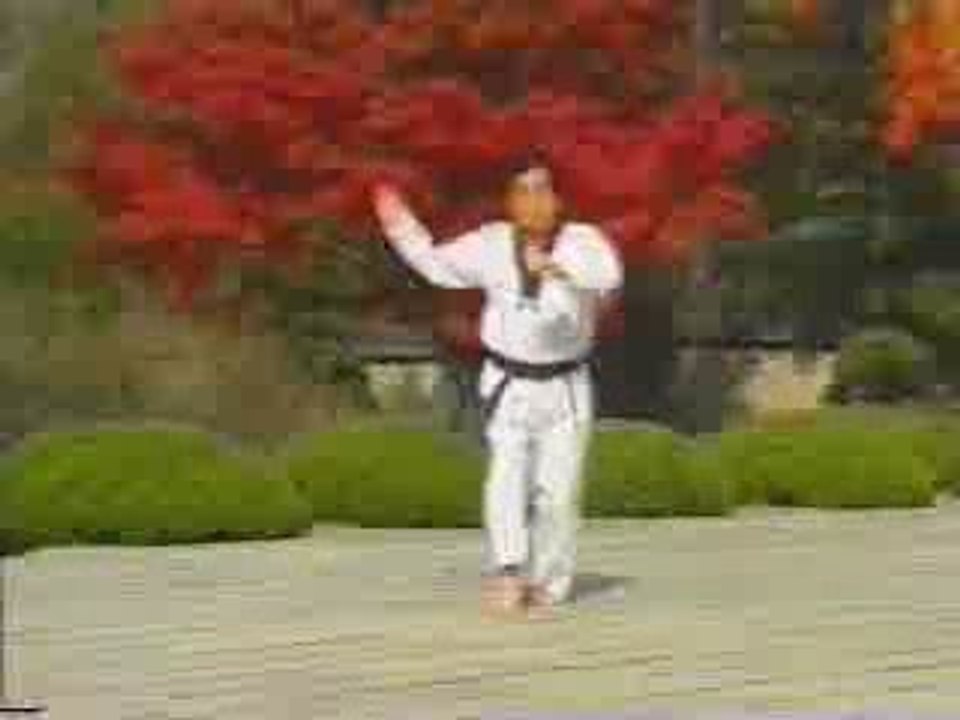 Taegueug pal jang