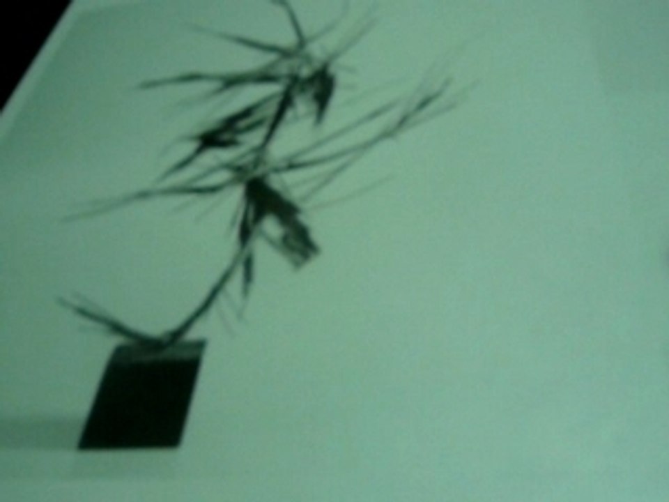 Tablette tactile au Gropius Bau