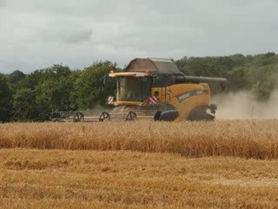 moisson 2008