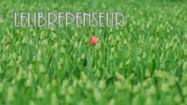 Réponse LeLibrePenseur Vs la censure injuste de Dailymotion