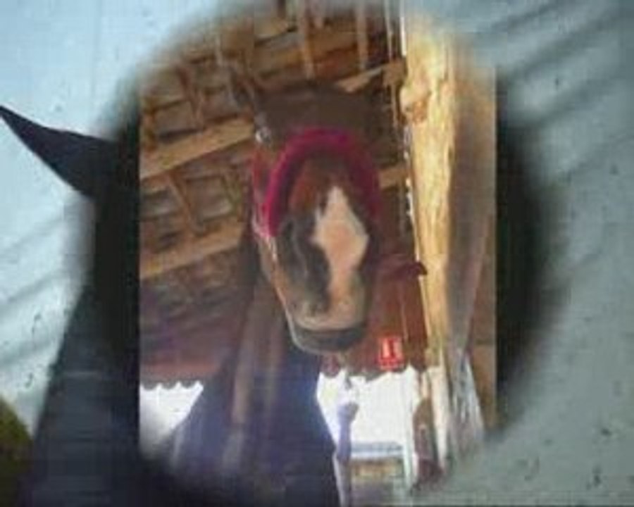 balade avec mon doudou