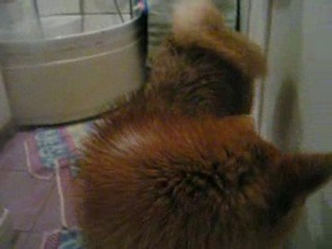 Sechage après la douche