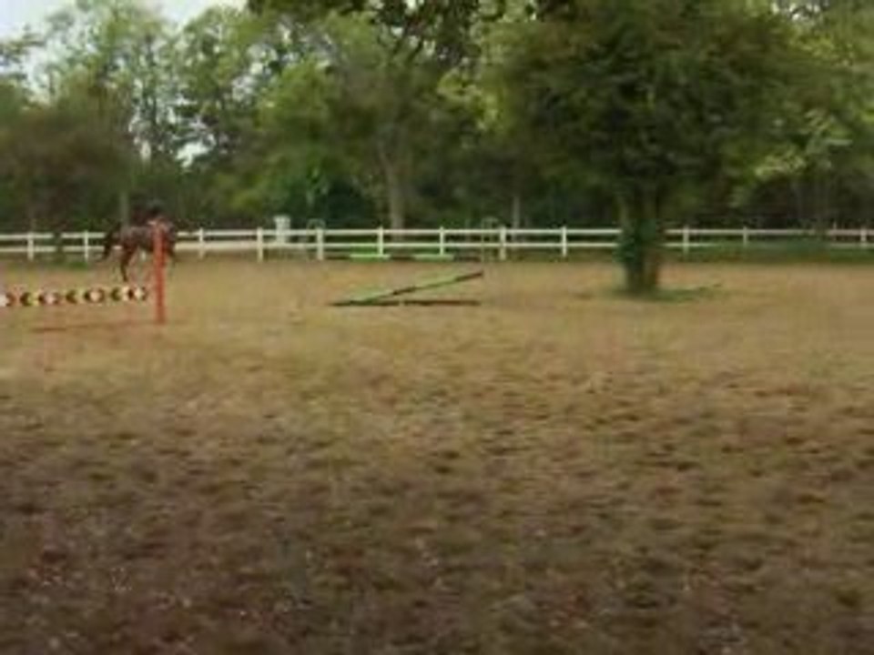 Caroussel et moi à l'obstacle