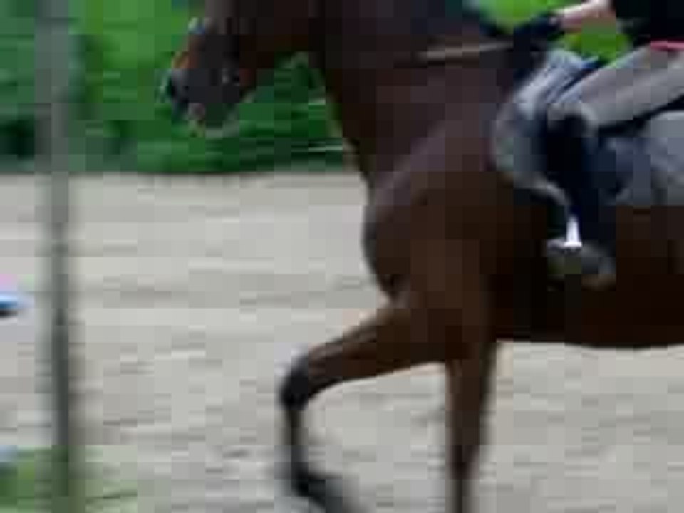 Moi et Caroussel à l'obstacle