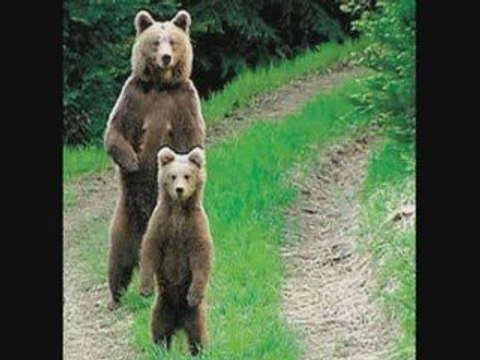 Hymne à la Vie de Jeane Manson (Diaporama)