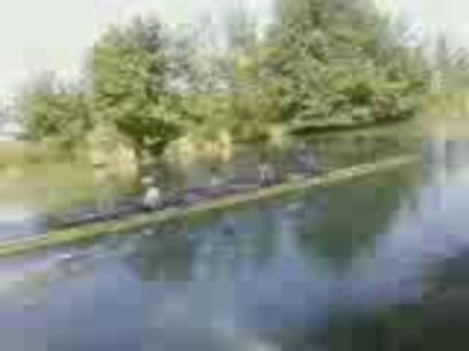 Aviron