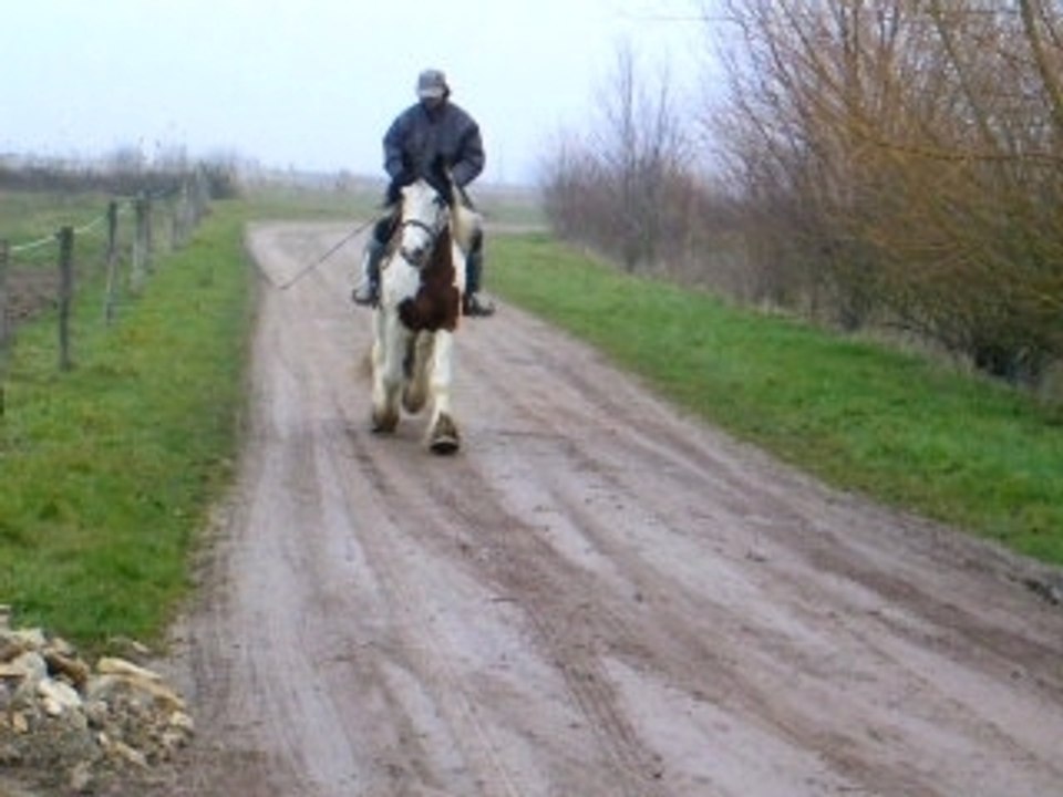 Seb 122008PC304149