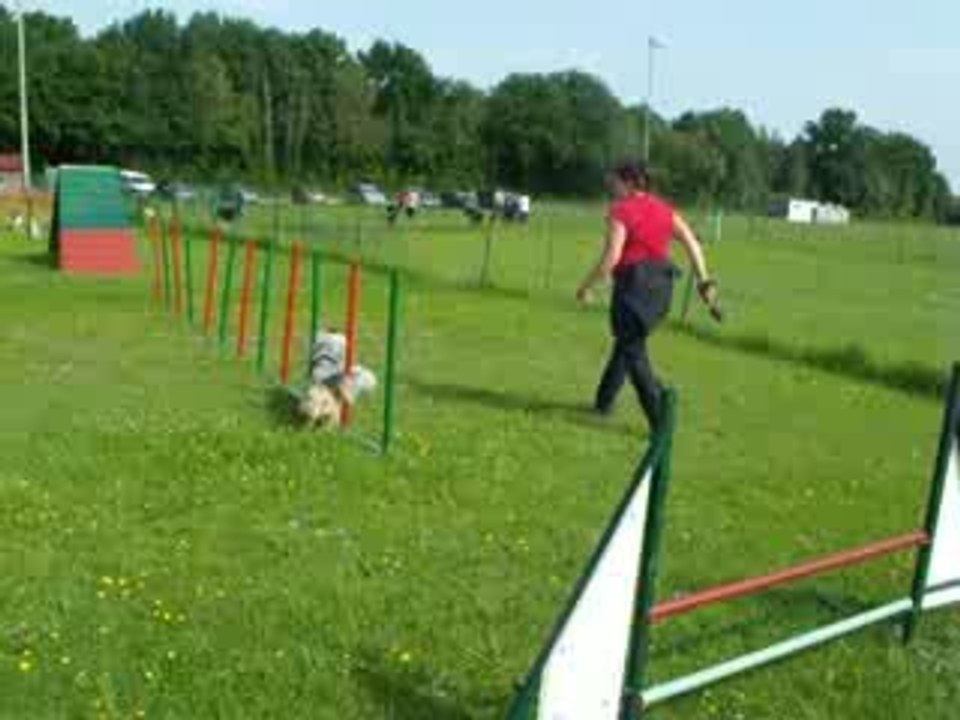 Coco Slalom2