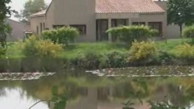 Valse des nymphéas