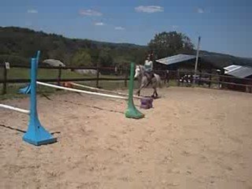 Photo 007