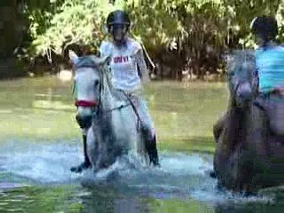 Baignade de Toto