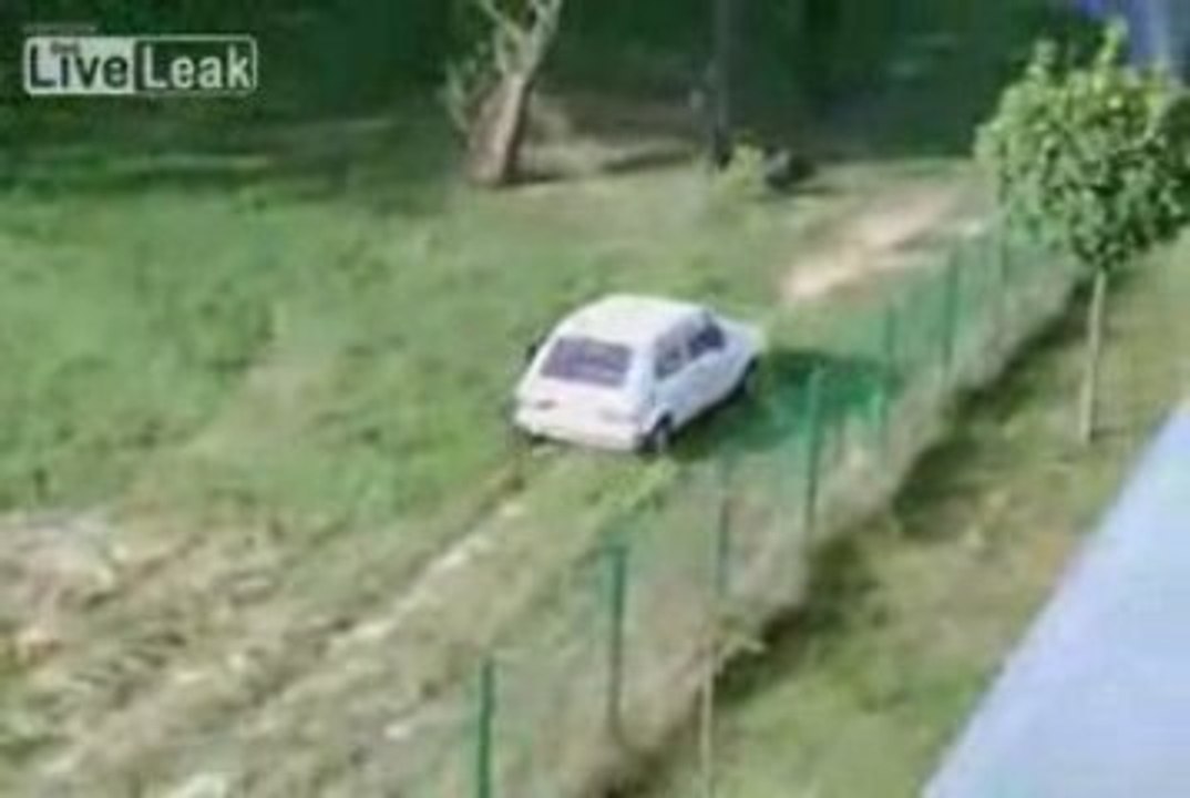 fainéant utilise sa voiture pour faire marcher son chien