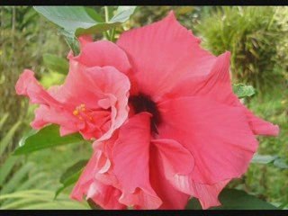 AVEC OU SANS TOI - "http://ninatlantika.skyrock.com"