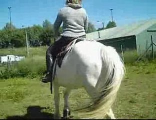 visite de amelie chez moi