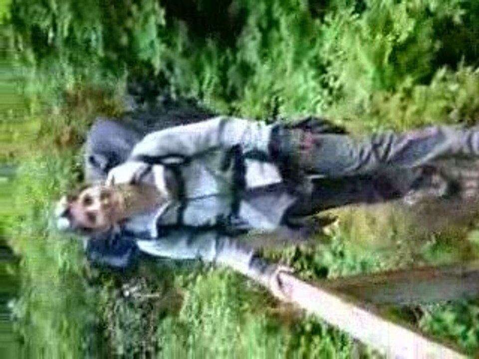 Passage sur un tronc