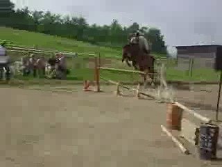 Cours d'obstacle avec Jam