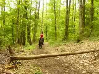 Chipsi & Amélie saut dans la forêt