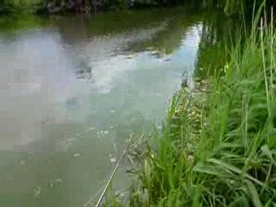 Rien a baiser