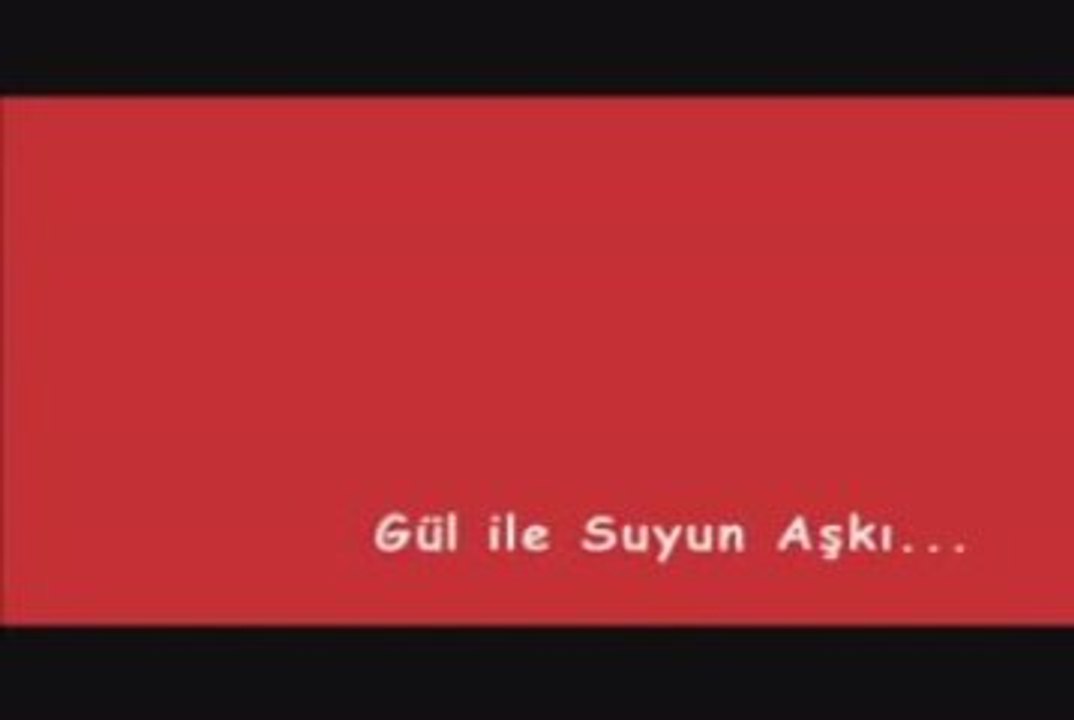 Gül ile suyun aşkı